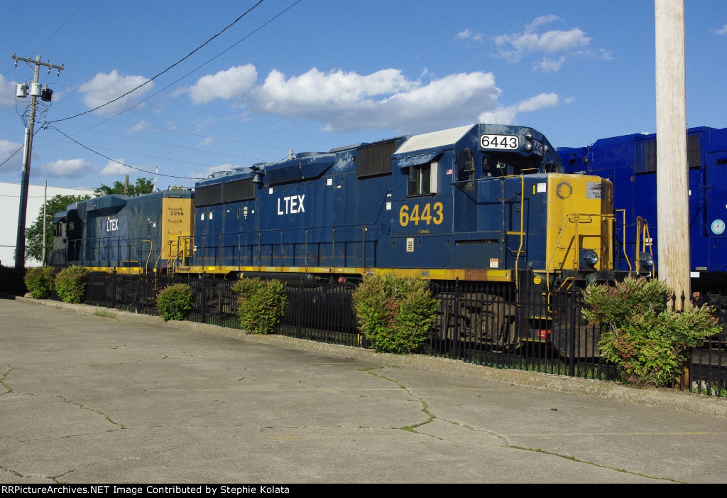 LTEX 5443